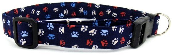 Aqua Red, White & Blue Paws Dog Collar (Size: X-Small)